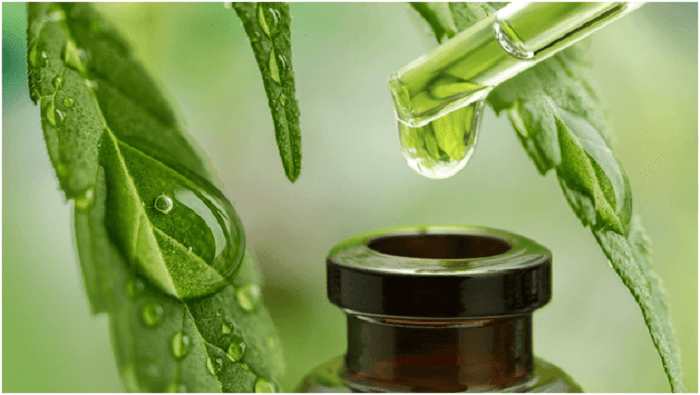 Why You Should Consider the Below Factors When Buying Best Refillable Vape Pen