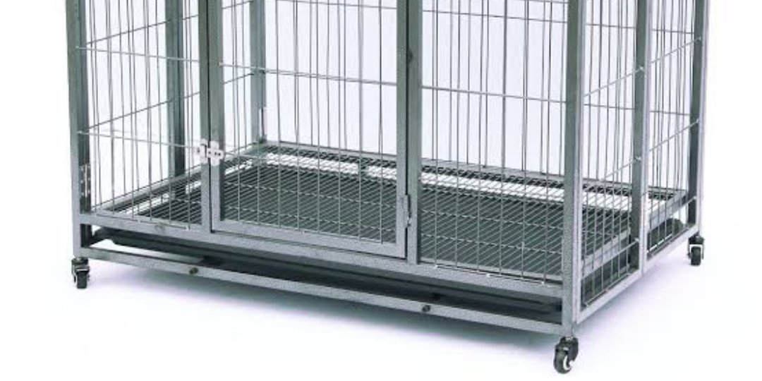 Storage Cages: A Business-Friendly Alternative For Proper Storage